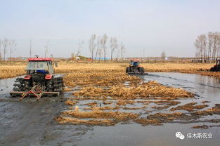 全省农村人居环境整治暨春耕生产现场推进会议召开，聚焦稻谷生产助力乡村振兴