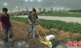 精量播种机械 防风播种机与前胡播种机在稻谷种植中的应用与市场分析