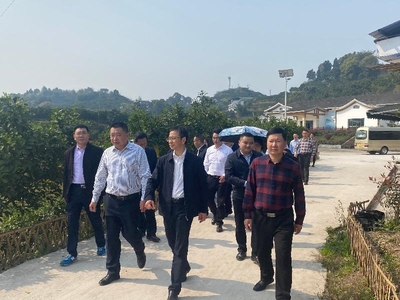 泸州市委统战部赴合江县调研涉台产业发展，聚焦稻谷产业合作与乡村振兴