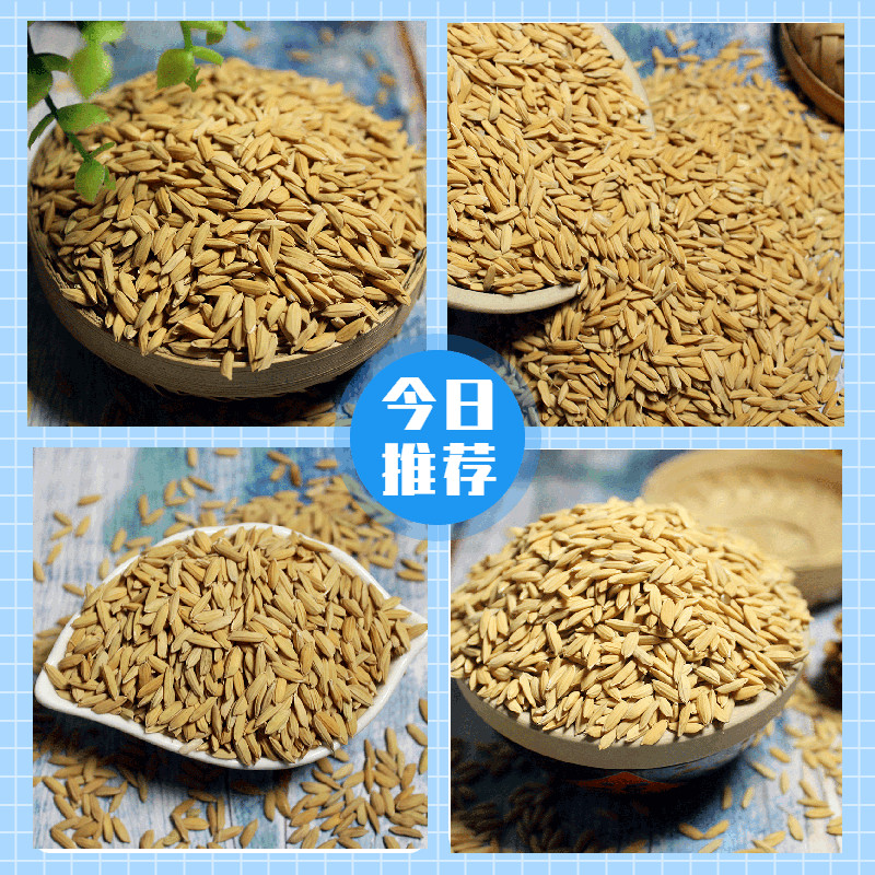 稻谷 农家自然饲料的卓越选择，为家禽提供理想的营养基础