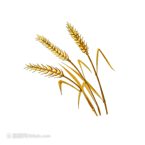 手绘卡通小满与稻谷 传统文化元素的生动呈现